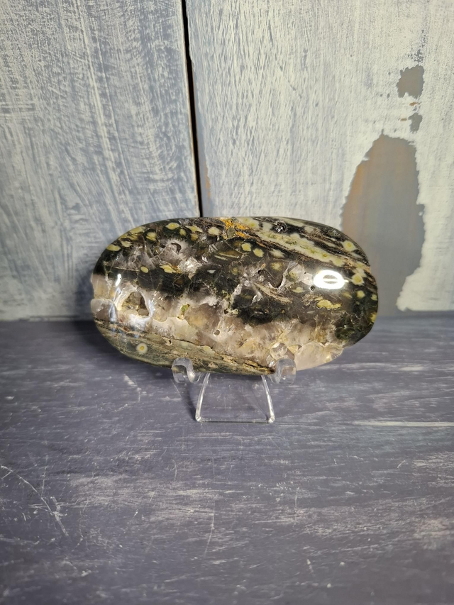 Ocean Jasper Palmstone 