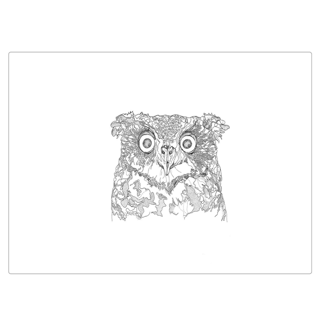 B&amp;W A3 print - owl