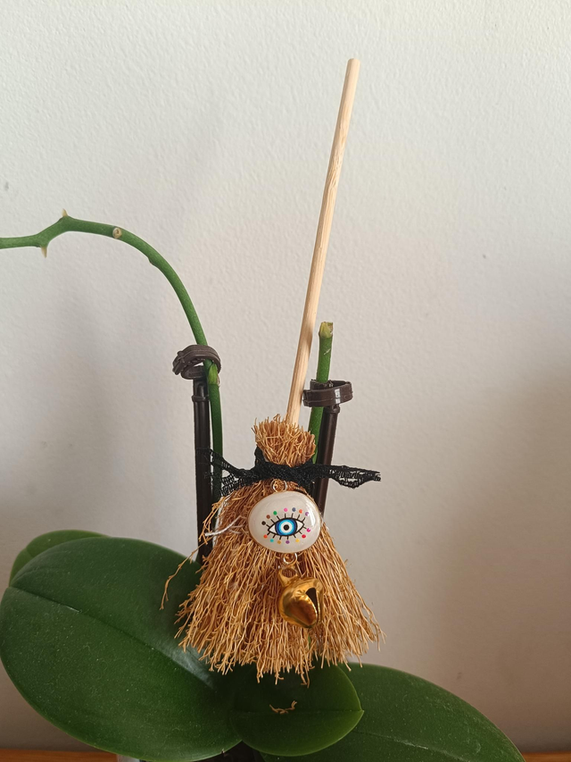 🧹Balai de protection 