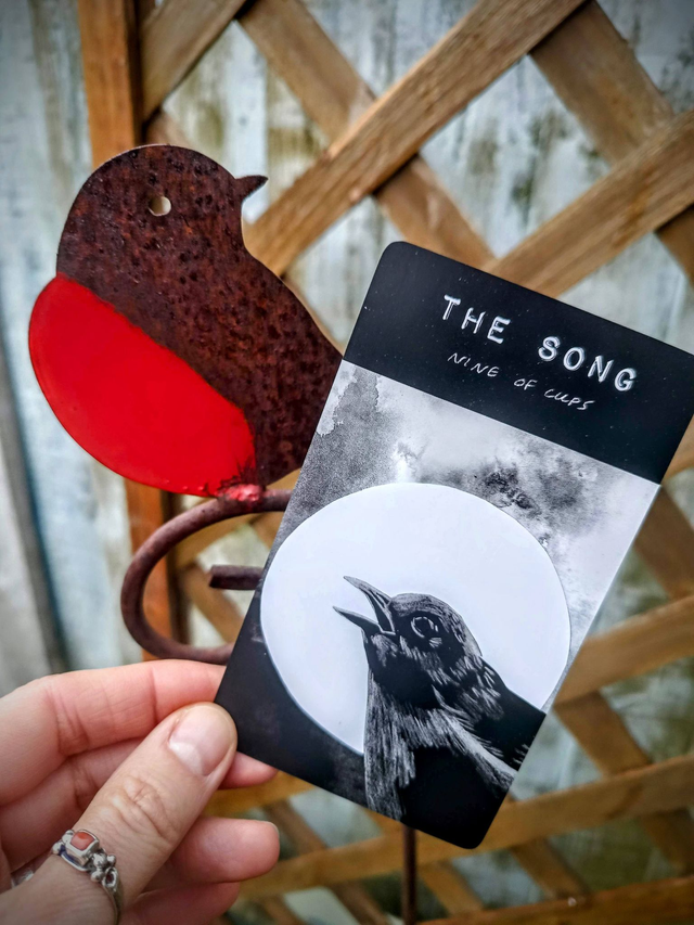 The Hide Tarot: hand-drawn black and white artistic deck full of animals and nature * by Dan Francis