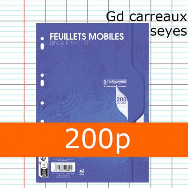 200 pages Feuilles simples CALLIGRAPHE A4 perforées Seyès 70g 3210330026862