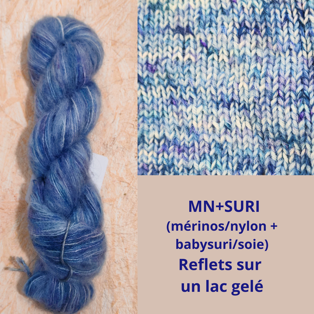 SURI Reflets sur un lac gelé