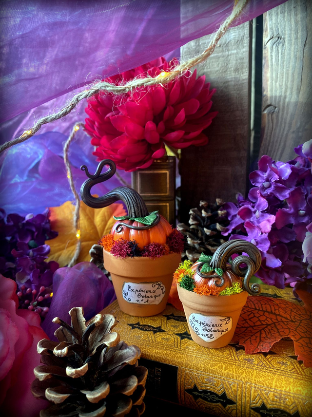 Expériences botaniques