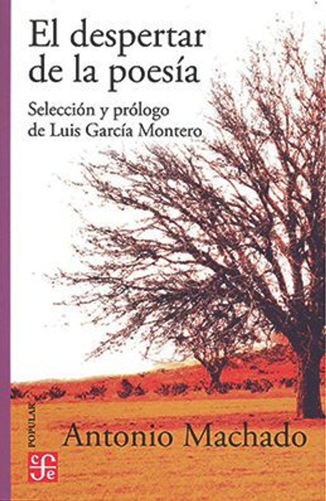El despertar de la poesía - Antonio Machado