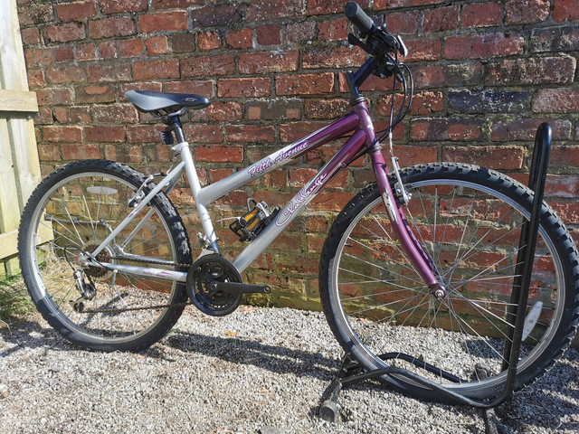 5th Avenue Challenge 17"