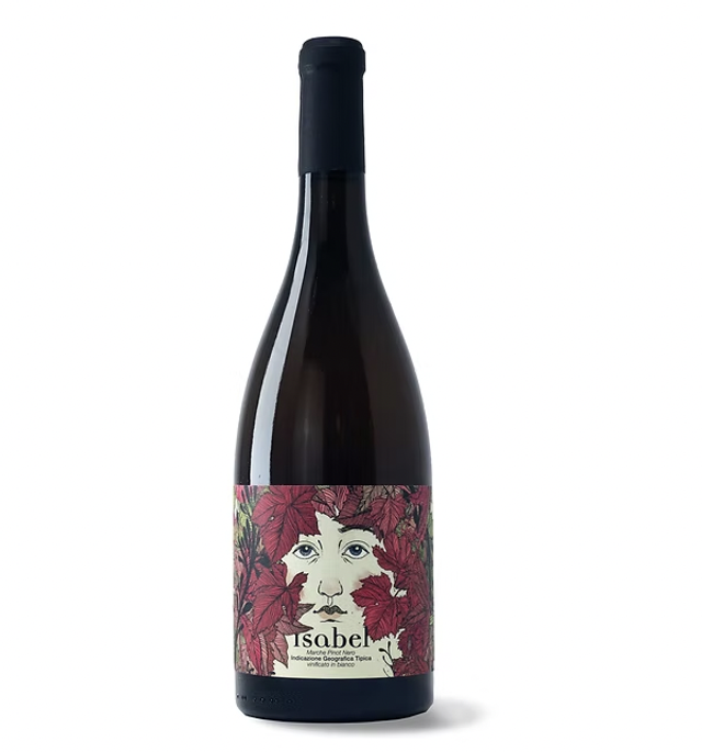 Silvo - Marche Pinot Nero  I.G.T.