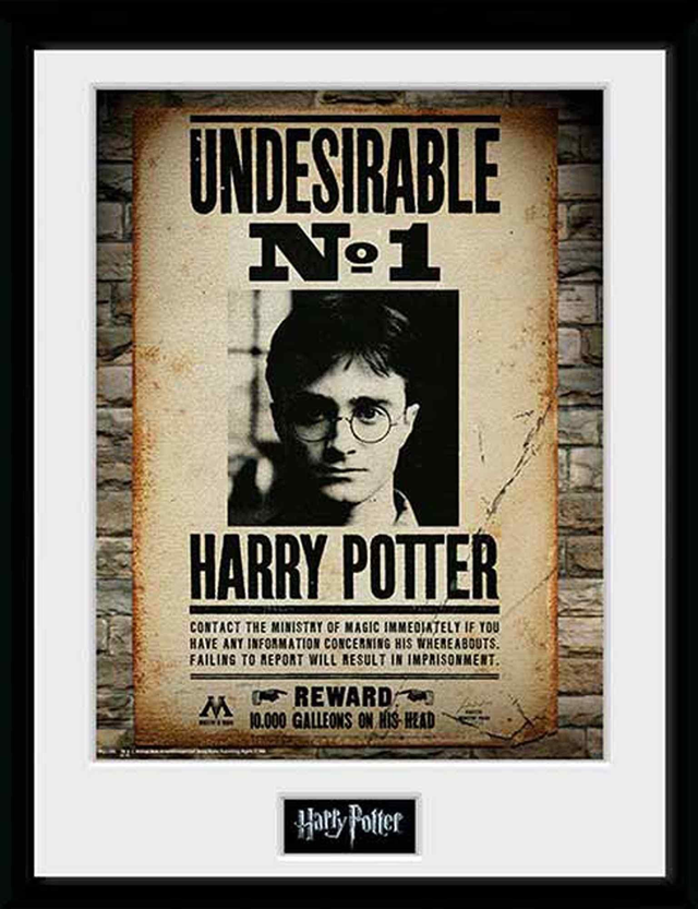 Cadre A3 Harry Potter Undesirable N°1