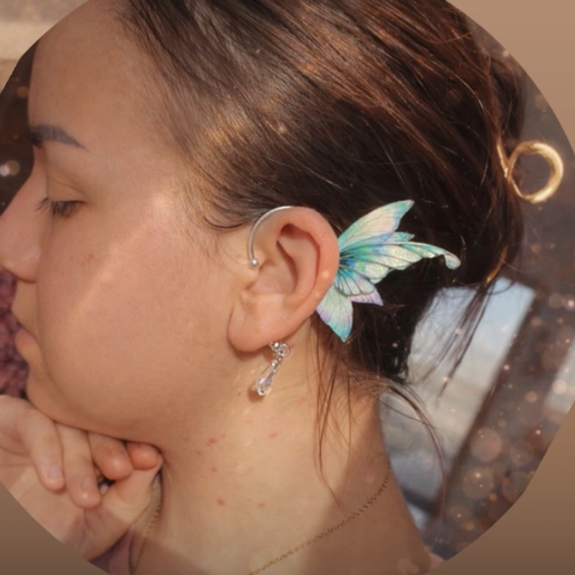 Les dragons de la forêt enchantée