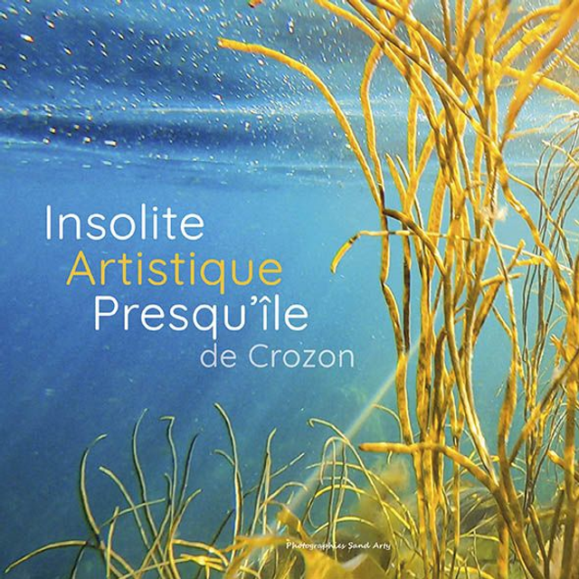 Insolite Artistique Presqu'île de Crozon