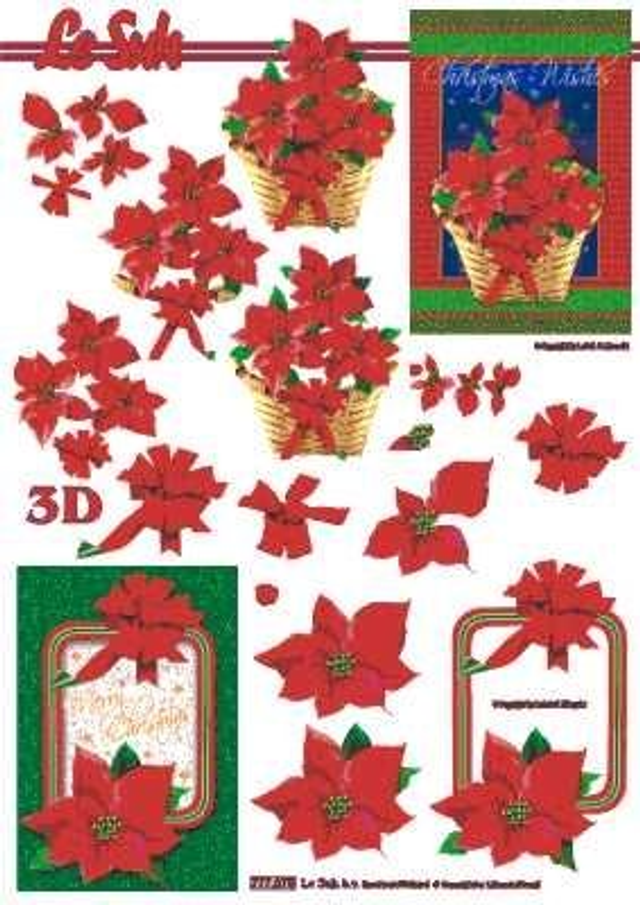 Knipvel Kerst Bomen Planten