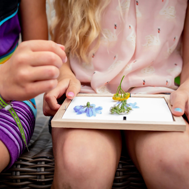 Pressed Flower Frame | Huckleberry Kikkerland