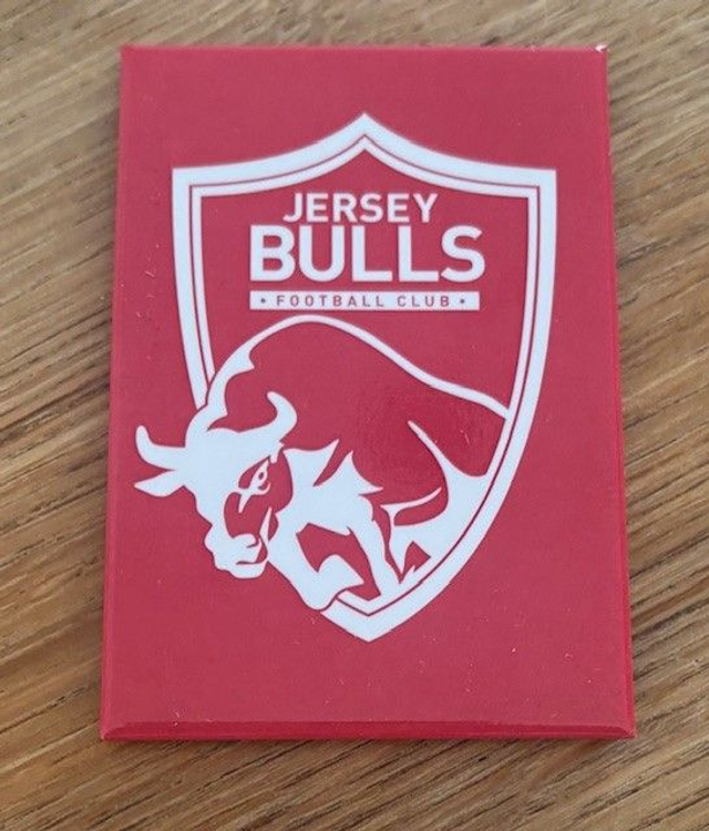 Jersey Bulls Magnet