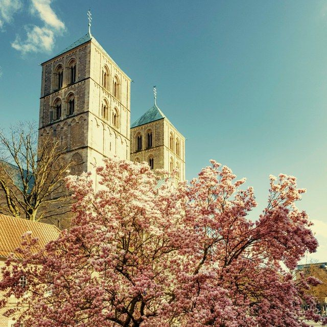 Dom mit Magnolie