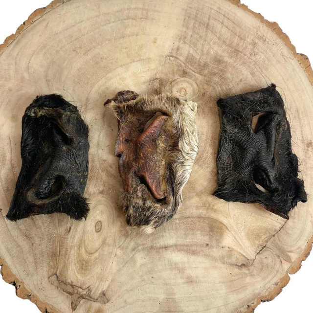 BULLY SNOUT (WITH HAIR)