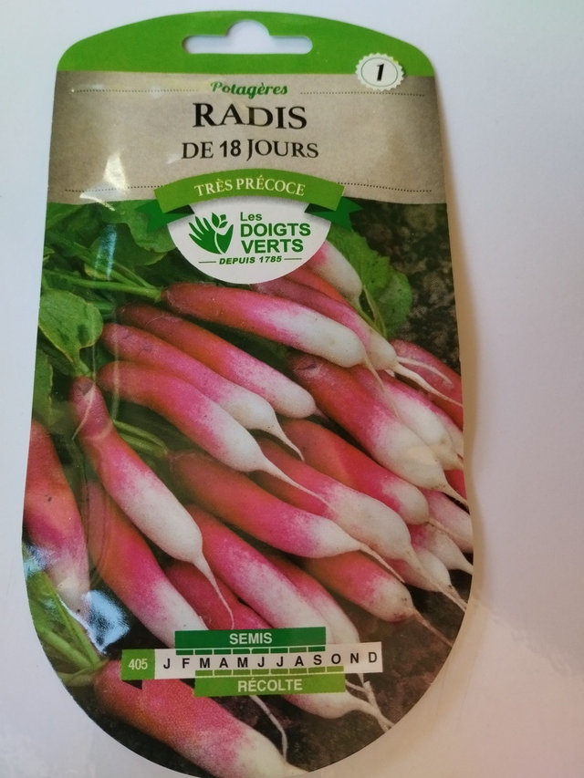 Radis de 18 jours
