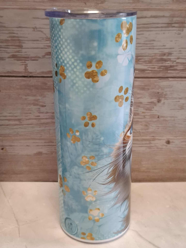 Gourde canette Maine coon