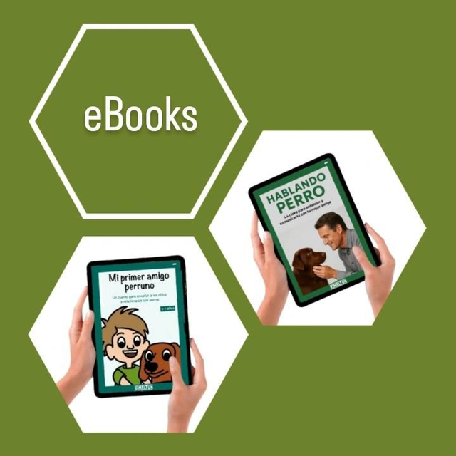 Pack Lector Digital