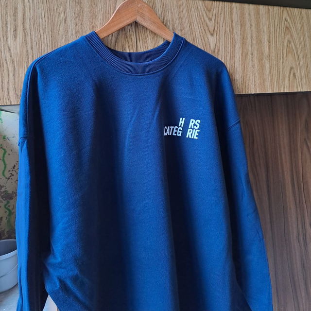 Sweatshirt HC