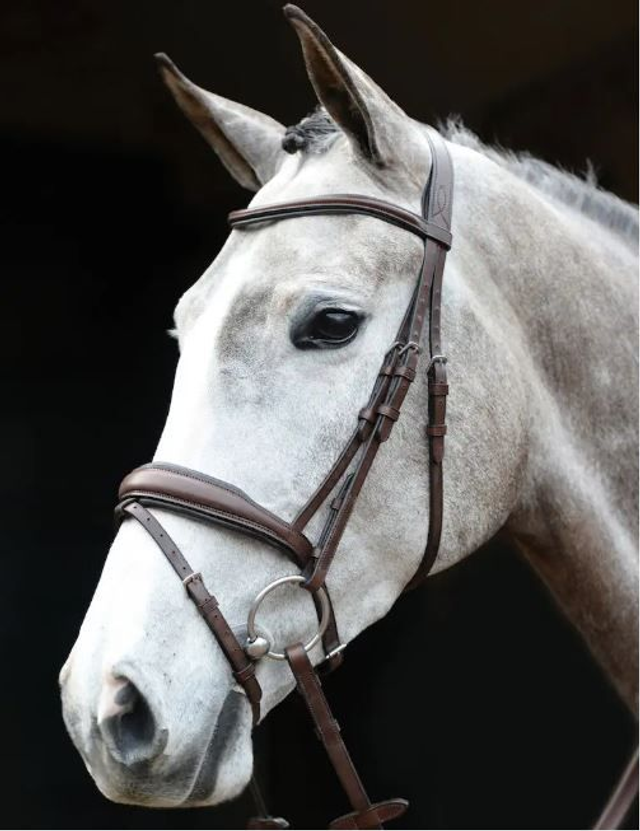 Collegiate Mono Crown Padded Flash Bridle