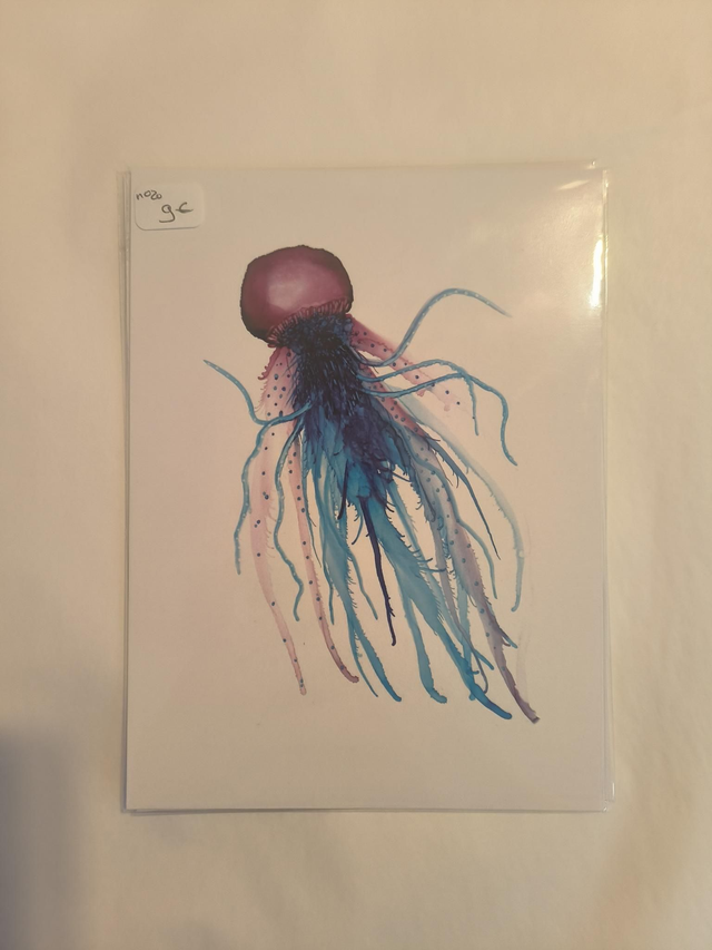 Carte N20