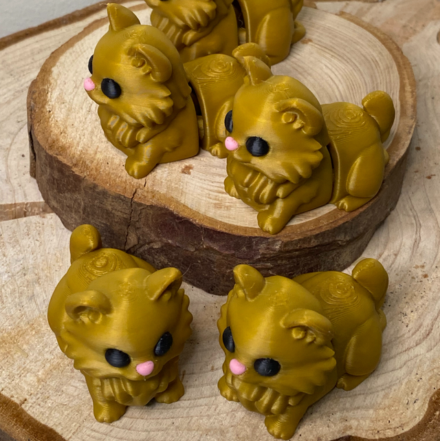 Gatinho