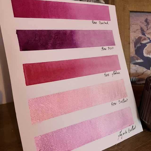 Teintes de roses exclusives 