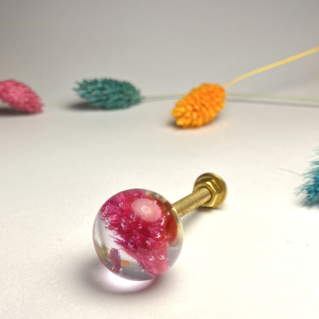 Boutons de meuble blé