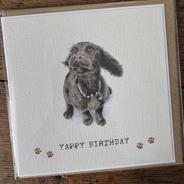 WP18/E33/WP4 Yappy Birthday