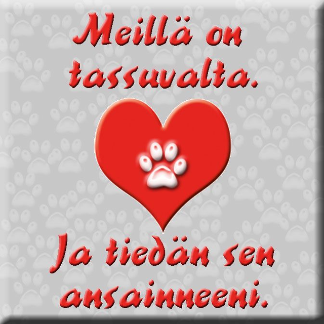 Magneetti "Meillä... ansainneeni"