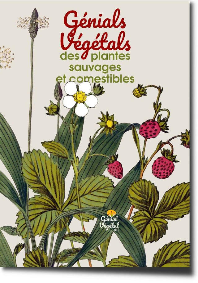 Génials Végétals, plantes sauvages et comestibles