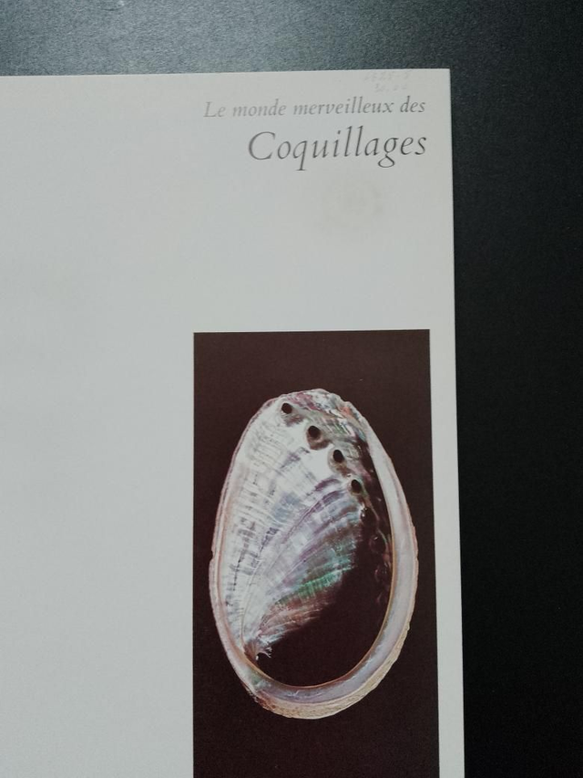 Le monde merveilleux des coquillages