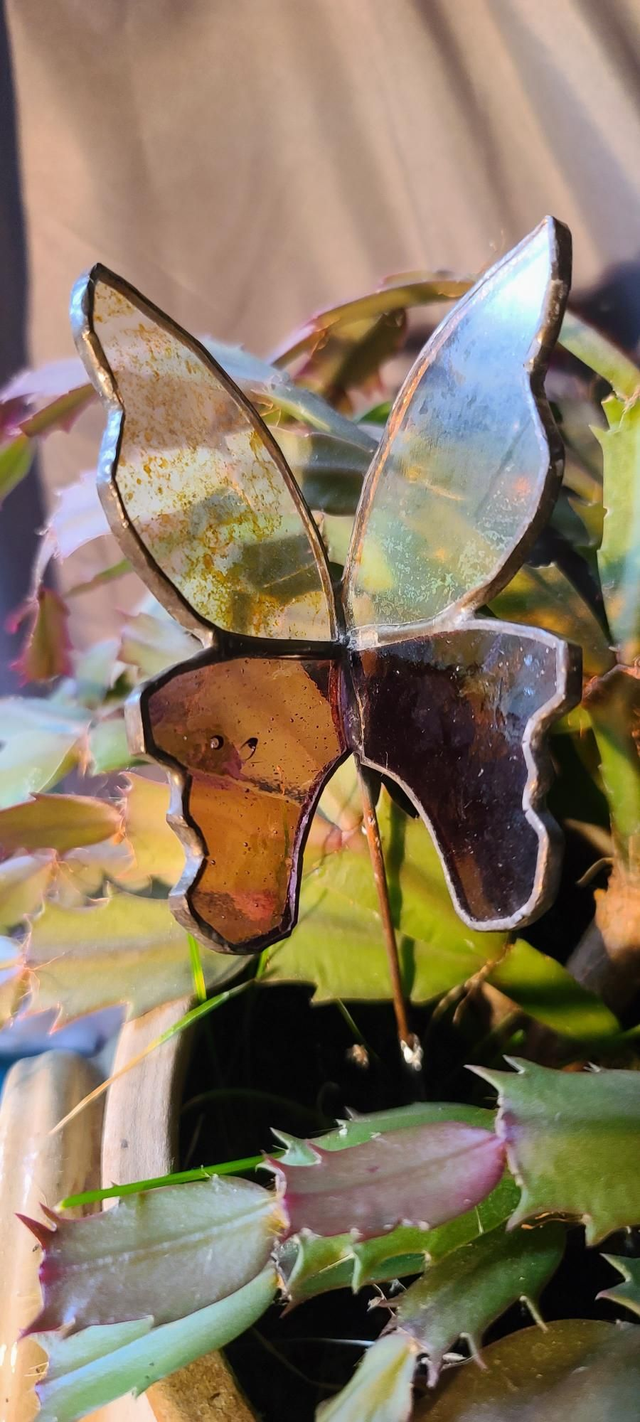 Papillon bicolore en verres jaune pâle et brun, en Tiffany. 