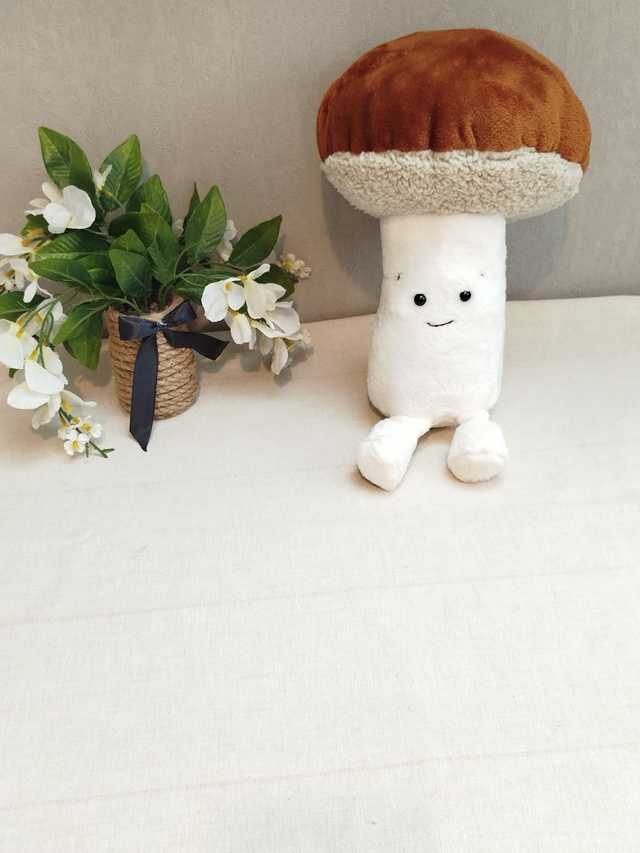 Coussin Champignon bolet kawaii