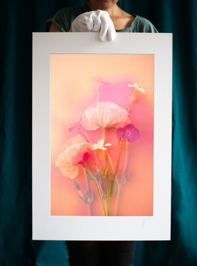 Collection du printemps * 4