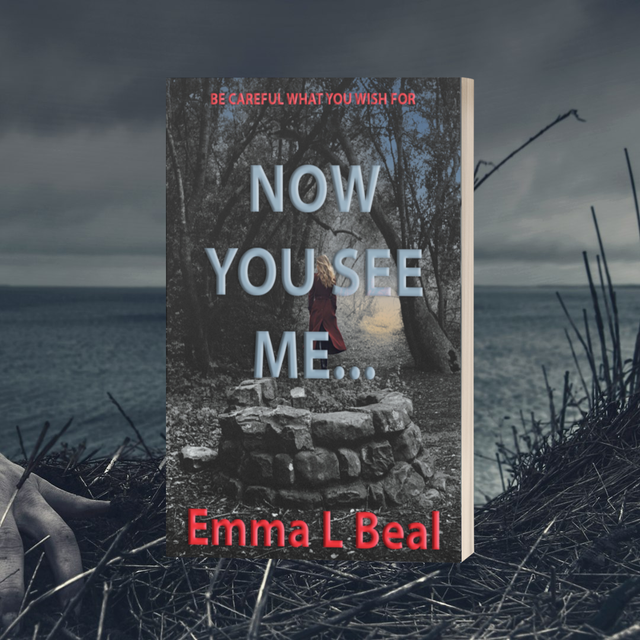 NOW YOU SEE ME... (Book 1) 