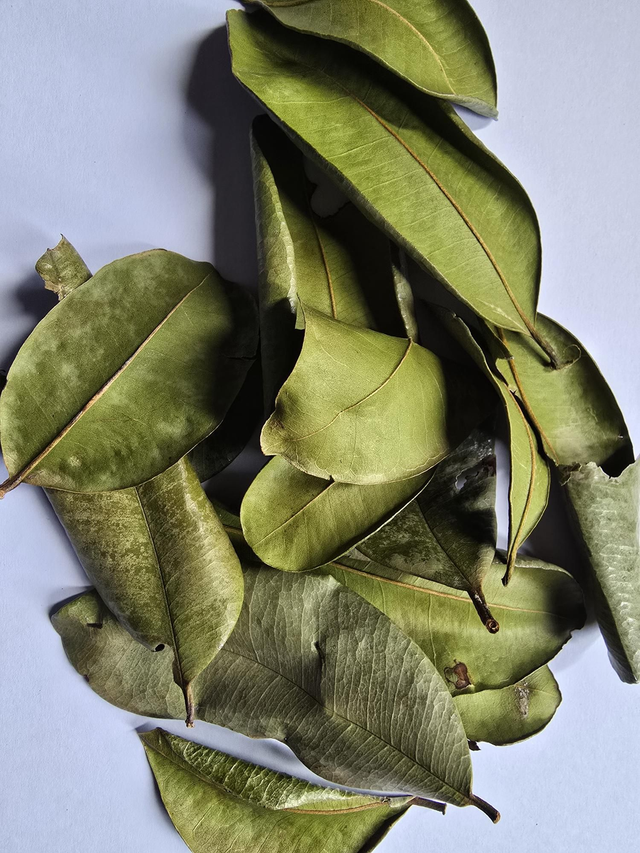 Bois d'Inde 20g