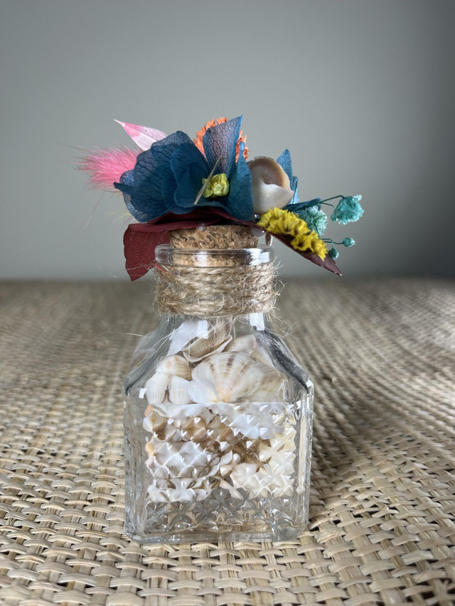 Coquillages fleuris "COLOR"