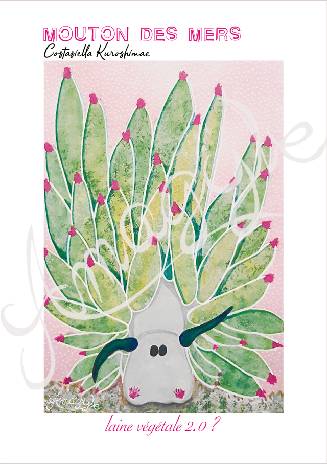 AFFICHETTE "Mouton des mers"