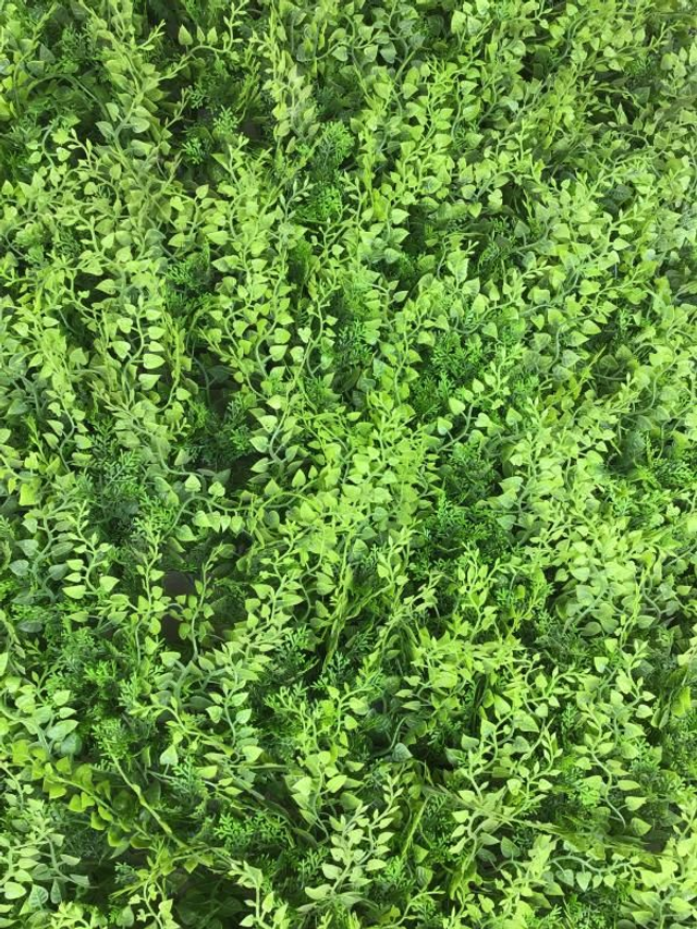 Siepe Sintetica - Divy Fern