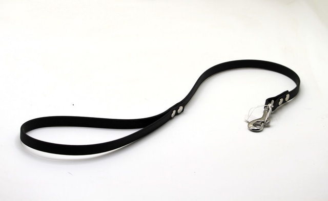 Laisse pour expositions 