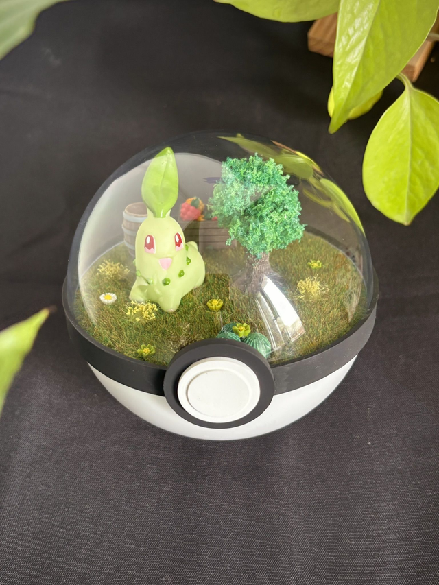 🌼 Terrarium Pokémon - Édition printemps -  Germignon