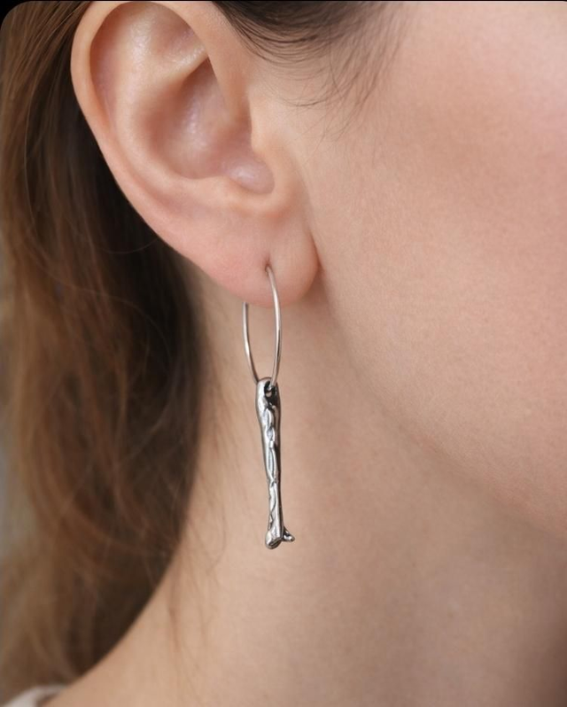 Boucles acier les sardines 