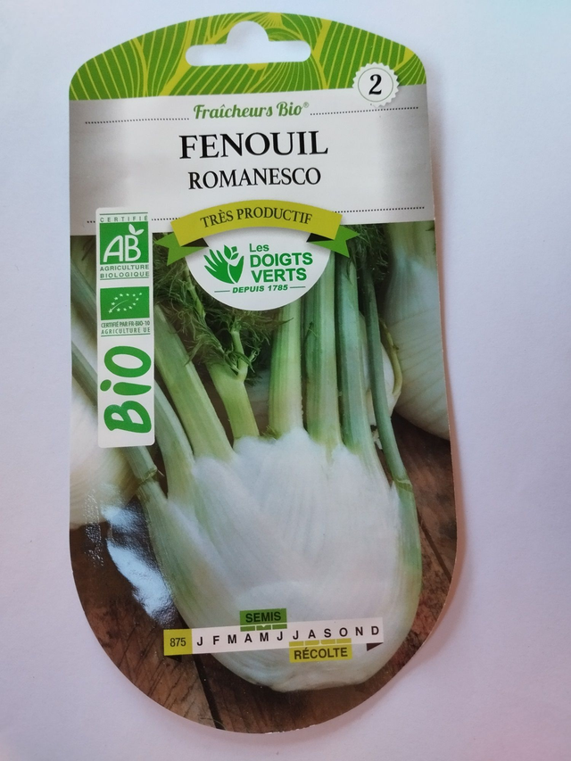 Fenouil Romanesco BIO