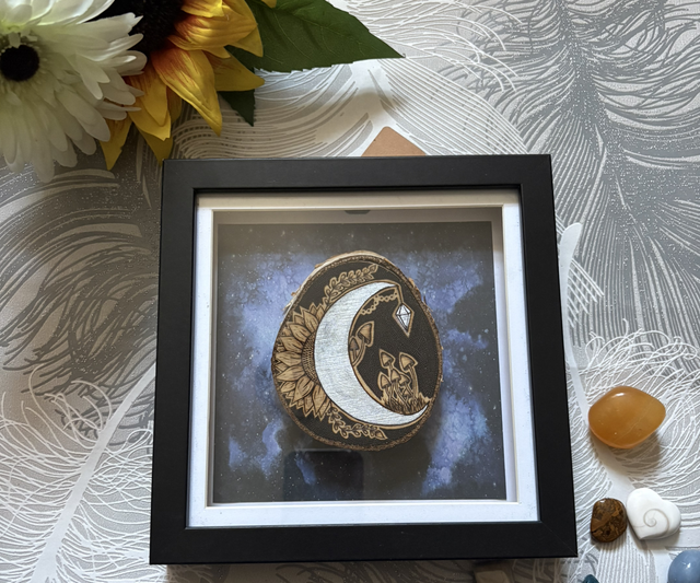 Hand burnt moon, mushrooms & flower silver birch slice in a box frame 