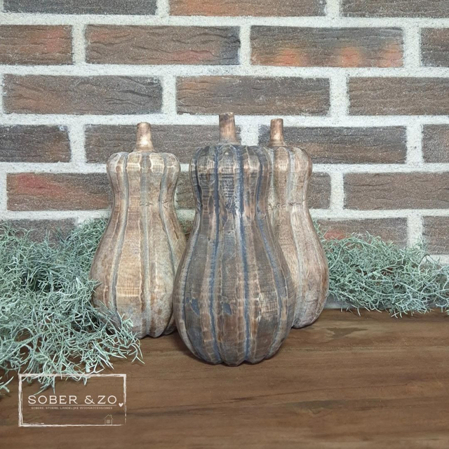 Pompoen hout 5