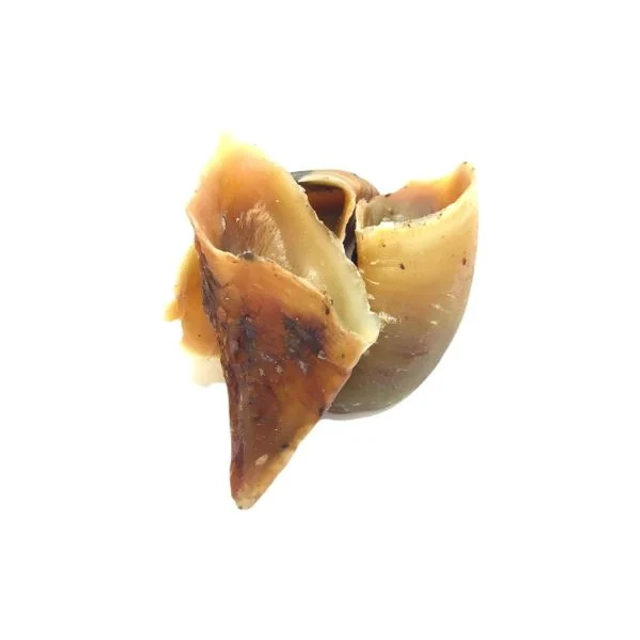 Hooves (Cow)