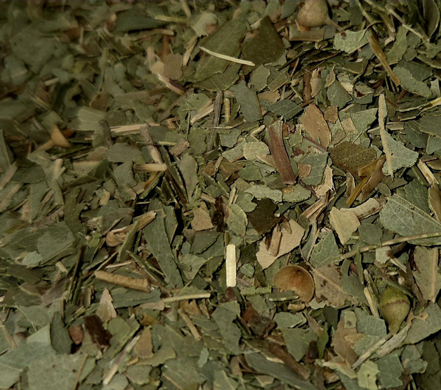 Eucalyptus 
