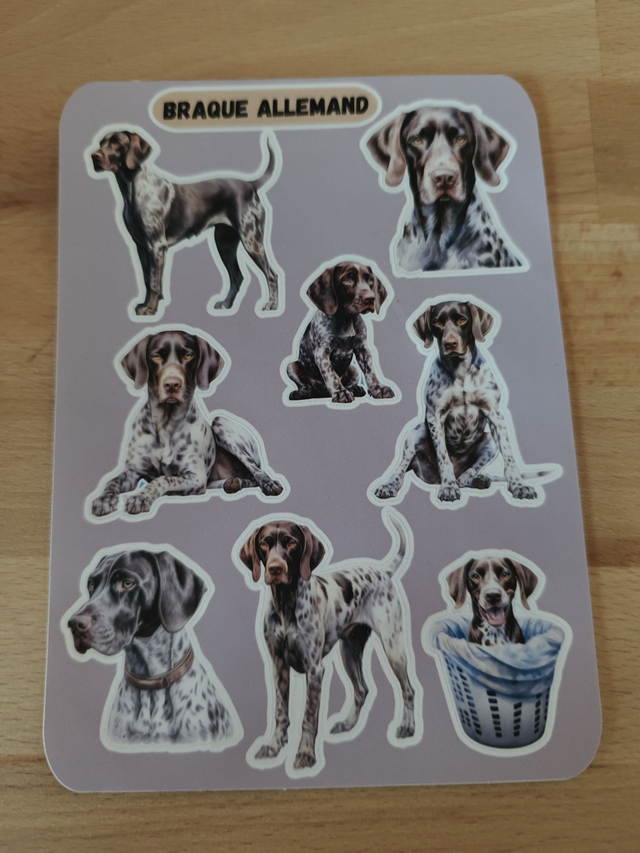 Planche stickers Braque Allemand