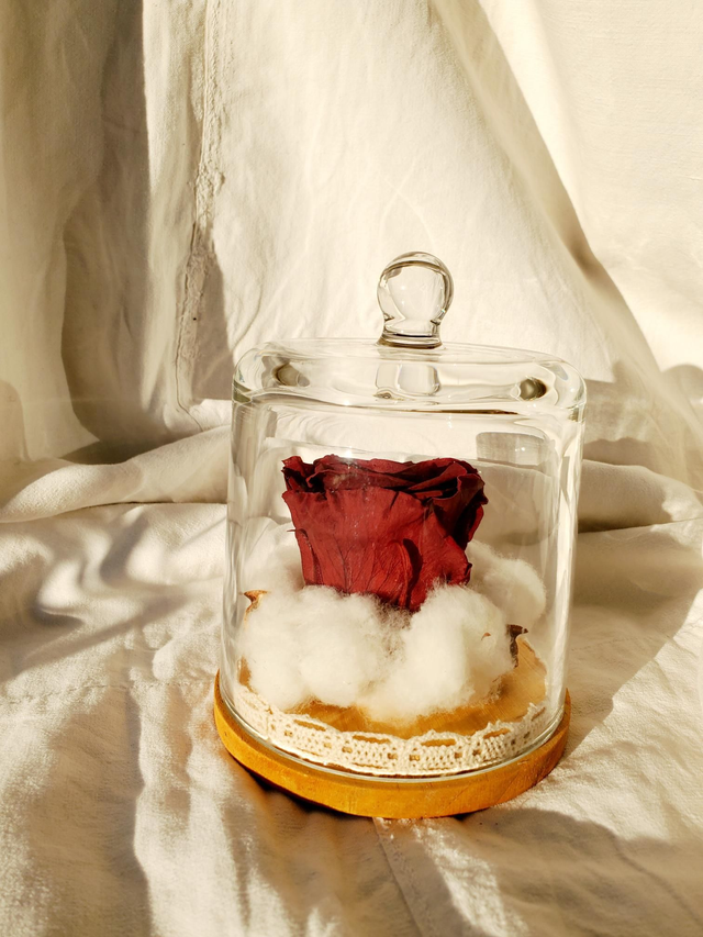  S10 Rose rouge foncé en nid de coton