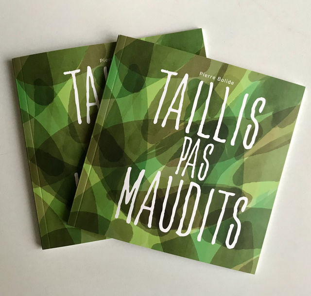 TAILLIS PAS MAUDITS